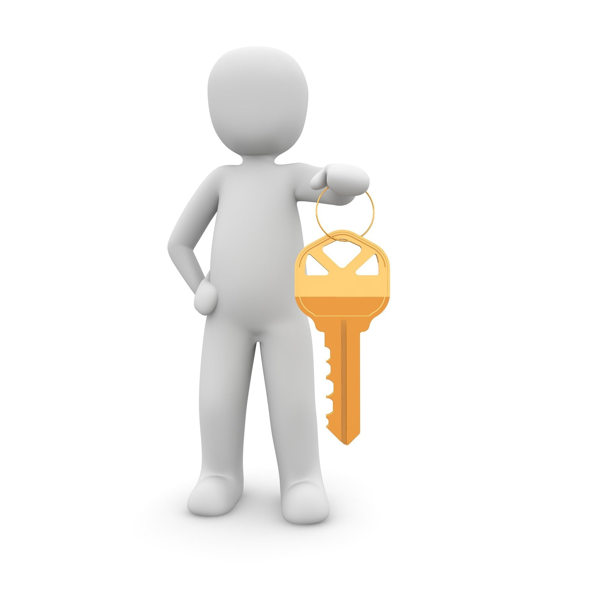 An image signifying a key solution
