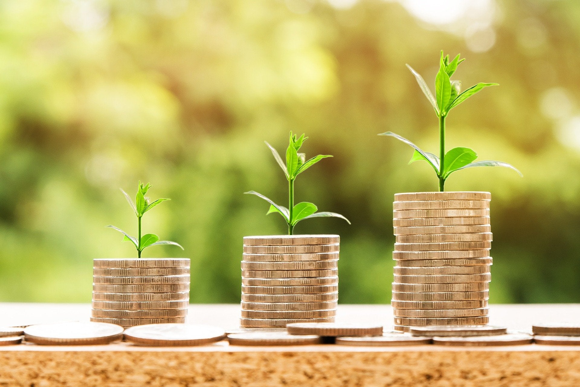 Three green plants growing from a heap of coins