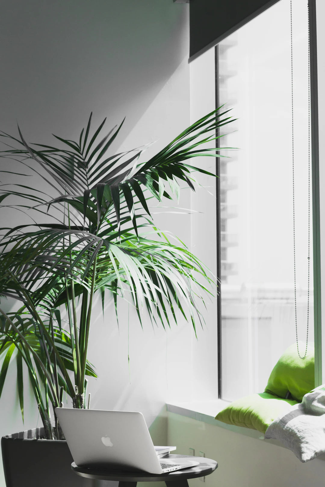Inspiring Shopify Case Studies You Can't Miss