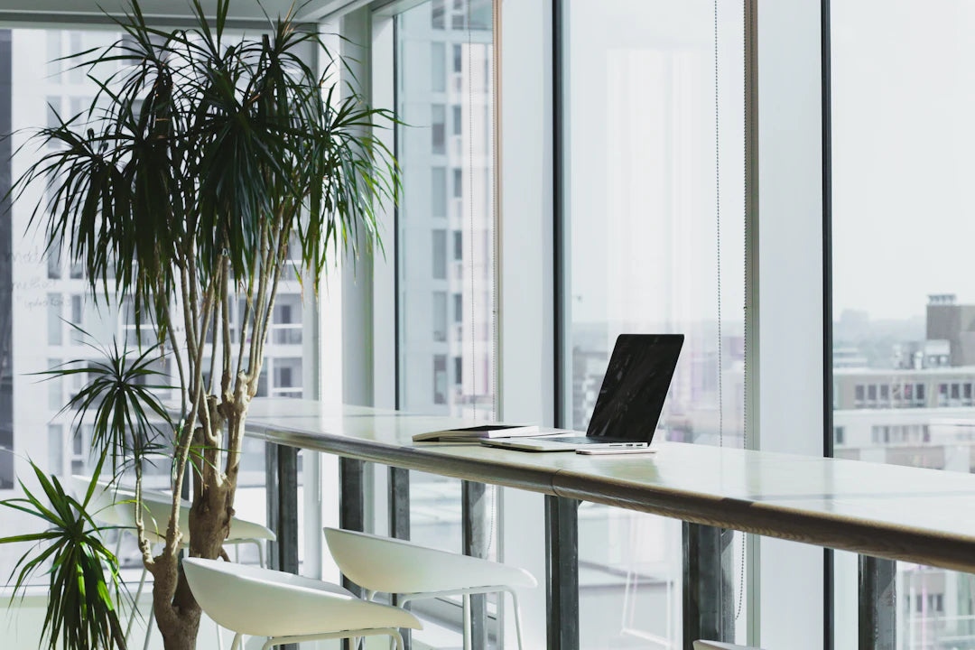 Legal Essentials for Your Shopify Store Success