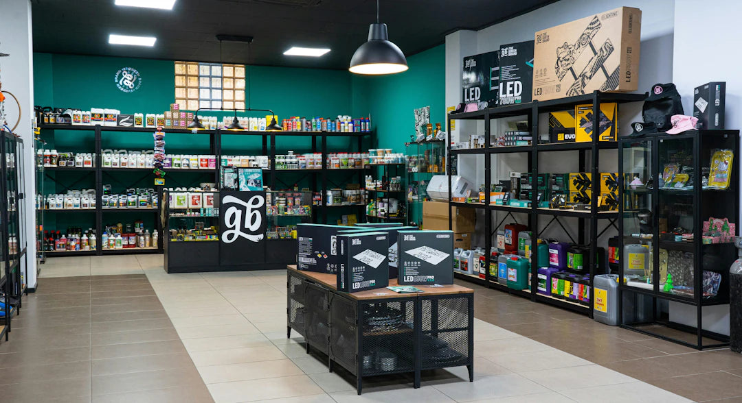 Essential Shopify Solutions for Small Business Growth